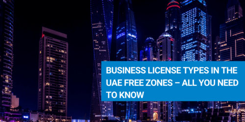 FreeZone Business License Types