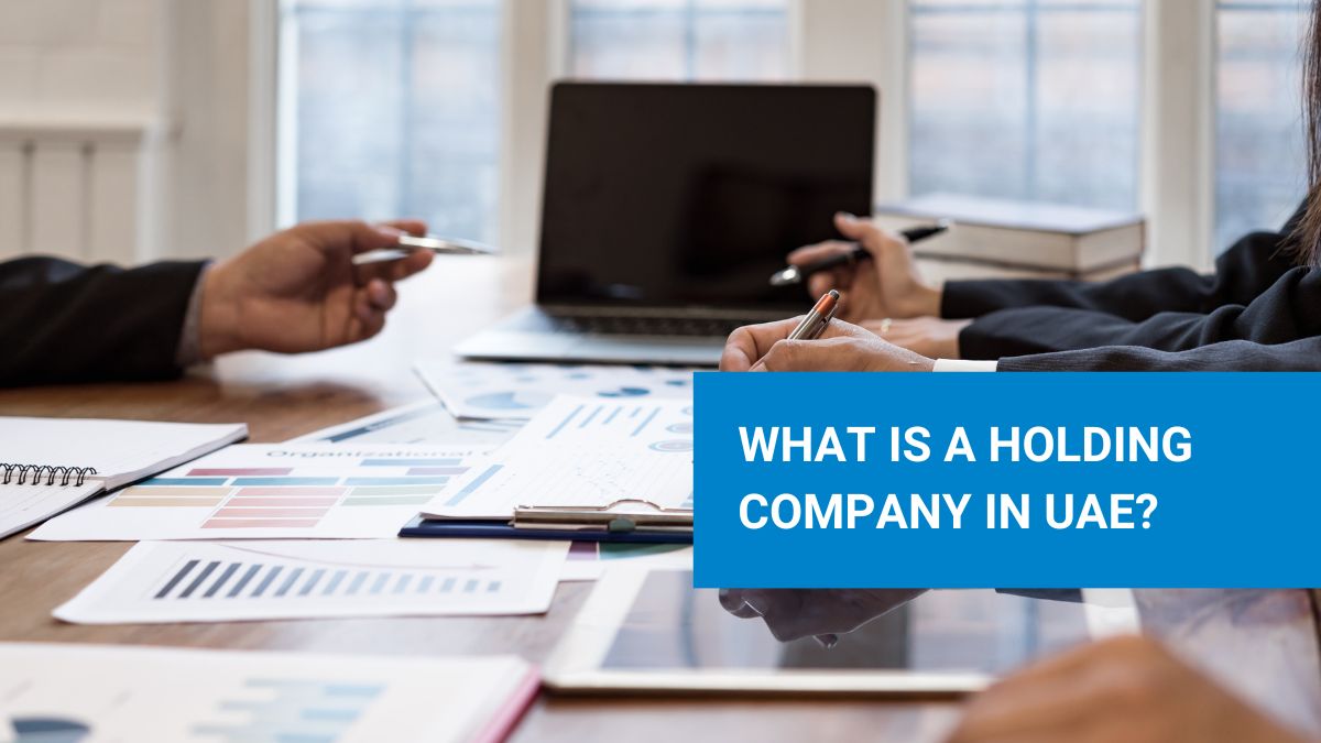 What is a Holding Company in UAE? - AURION