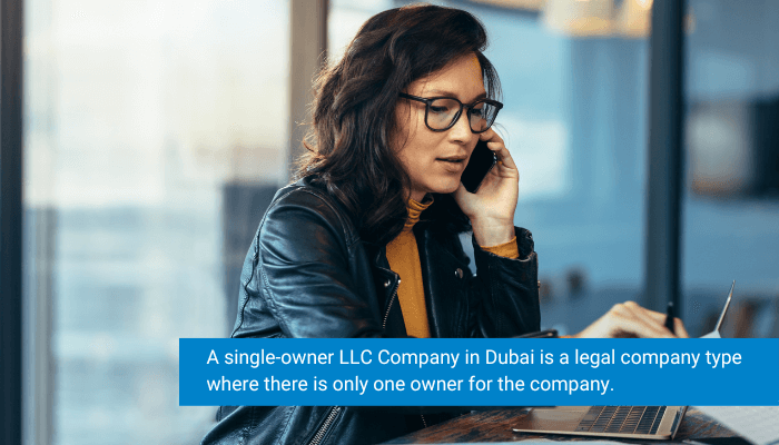 Single Owner LLC Company in Dubai